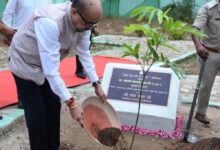 राज्यपाल डेका ने जशपुर के मातृत्व वन में किया सीता अशोक के पौधे का रोपण
