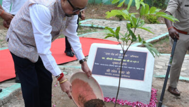 राज्यपाल डेका ने जशपुर के मातृत्व वन में किया सीता अशोक के पौधे का रोपण राज्यपाल डेका ने जशपुर के मातृत्व वन में किया सीता अशोक के पौधे का रोपण