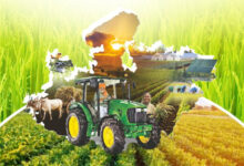 दलहन – तिलहन फसल व रकबा सत्यापन हेतु नया निर्देश, किसान पंजीयन तिथि 20 अप्रैल तक बढ़ा