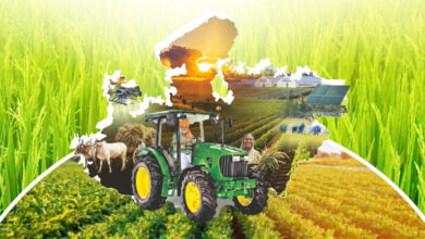 दलहन – तिलहन फसल व रकबा सत्यापन हेतु नया निर्देश, किसान पंजीयन तिथि 20 अप्रैल तक बढ़ा दलहन – तिलहन फसल व रकबा सत्यापन हेतु नया निर्देश, किसान पंजीयन तिथि 20 अप्रैल तक बढ़ा