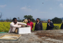 मधुमक्खी पालन: कम लागत में ज्यादा मुनाफे का बेहतर विकल्प