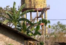 जामगुड़ा में 3 हैंडपंपों, एक सोलर पंप और एक पॉवर पंप से लोगों को मिल रहा पानी