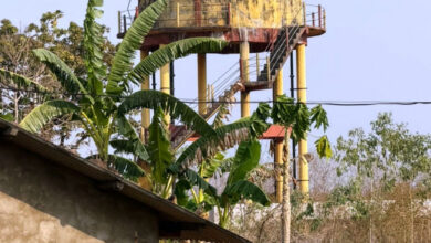 जामगुड़ा में 3 हैंडपंपों, एक सोलर पंप और एक पॉवर पंप से लोगों को मिल रहा पानी