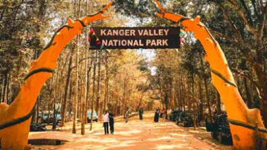 कांगेर घाटी की प्राकृतिक धरोहर की रक्षा के लिए 60 स्वयंसेवक होंगे तैनात