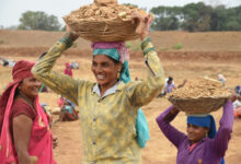 सुरक्षा, सम्मान और स्वावलंबन की बन रही नई पहचान, छत्तीसगढ़ में आर्थिक और सामाजिक सशक्त हो रहीं महिला श्रमिक