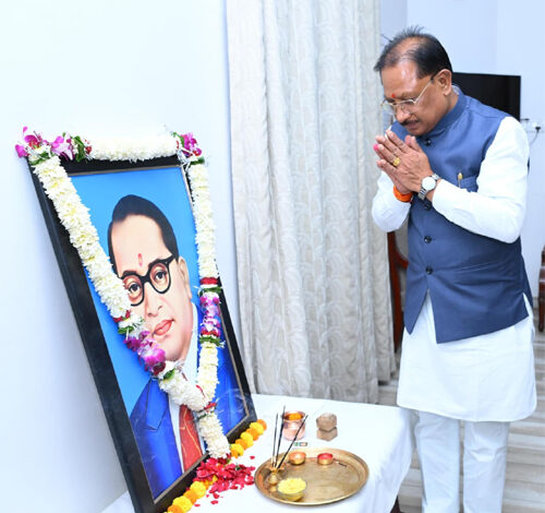 डॉ. भीमराव अम्बेडकर जयंती पर मुख्यमंत्री साय ने किया नमन डॉ. भीमराव अम्बेडकर जयंती पर मुख्यमंत्री साय ने किया नमन