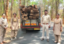 कोंडागांव वन विभाग ने 45 नग साल, बीजा, सागौन की अवैध लकड़ी जप्त की