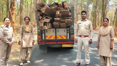कोंडागांव वन विभाग ने 45 नग साल, बीजा, सागौन की अवैध लकड़ी जप्त की कोंडागांव वन विभाग ने 45 नग साल, बीजा, सागौन की अवैध लकड़ी जप्त की