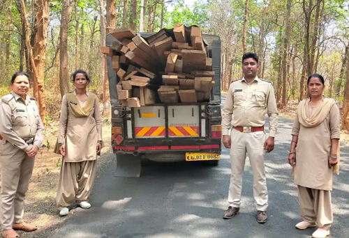 कोंडागांव वन विभाग ने 45 नग साल, बीजा, सागौन की अवैध लकड़ी जप्त की