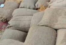 3 उपार्जन केंद्रों बघर्रा, बाघामुड़ा और रमतला से 4472 क्विंटल धान गायब 1.06 करोड़ का घोटाला उजागर