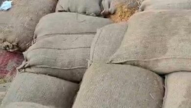 3 उपार्जन केंद्रों बघर्रा, बाघामुड़ा और रमतला से 4472 क्विंटल धान गायब 1.06 करोड़ का घोटाला उजागर