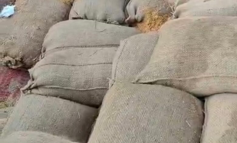 3 उपार्जन केंद्रों बघर्रा, बाघामुड़ा और रमतला से 4472 क्विंटल धान गायब 1.06 करोड़ का घोटाला उजागर