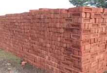 अवैध अतिक्रमण व बिना अनुमति ईंट भट्ठा संचालन पर करें आवश्यक कार्रवाई – कलेक्टर वसंत