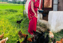 एकीकृत कृषि और आजीविका के लिए दीदी के बखरी से आ रही नई क्रांति कांकेर जिले की पहल