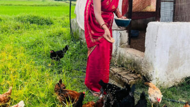 एकीकृत कृषि और आजीविका के लिए दीदी के बखरी से आ रही नई क्रांति कांकेर जिले की पहल एकीकृत कृषि और आजीविका के लिए दीदी के बखरी से आ रही नई क्रांति कांकेर जिले की पहल