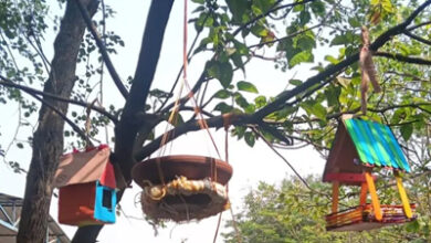 सारागांव हायर सेकेंडरी स्कूल के विद्यार्थियों ने पक्षियों के लिए बनाए घोंसले, संवेदनशील शिक्षा का दिया संदेश