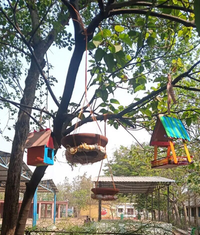 सारागांव हायर सेकेंडरी स्कूल के विद्यार्थियों ने पक्षियों के लिए बनाए घोंसले, संवेदनशील शिक्षा का दिया संदेश