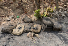 देवखोल में अवैध कोयला खनन पर बड़ी कार्रवाई, 6 टन से अधिक कोयला जब्त