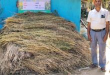 प्राकृतिक खेती से किसानों की बढ़ती आय, जैविक खेती से समृद्धि की राह पर किसान वैजनाथ ठाकुर