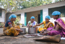 वन धन विकास केंद्र पंचक्की : स्व-सहायता समूहों को 23 लाख से अधिक की वार्षिक आय