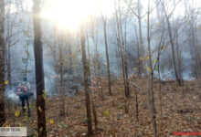 25 हजार हेक्टेयर क्षेत्र में ‘फायर अलर्ट’ सिस्टम बना मजबूत सुरक्षा कवच, सुरक्षित हो रहे कवर्धा के वन