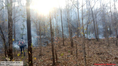 25 हजार हेक्टेयर क्षेत्र में ‘फायर अलर्ट’ सिस्टम बना मजबूत सुरक्षा कवच, सुरक्षित हो रहे कवर्धा के वन