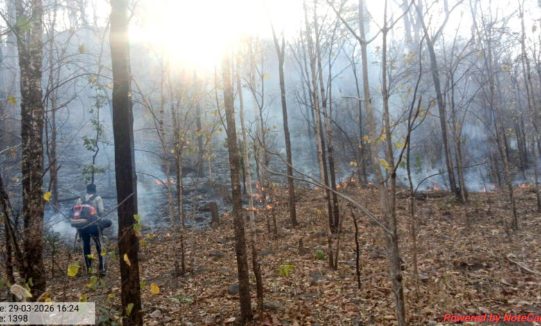 25 हजार हेक्टेयर क्षेत्र में ‘फायर अलर्ट’ सिस्टम बना मजबूत सुरक्षा कवच, सुरक्षित हो रहे कवर्धा के वन