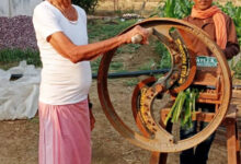 चाफ कटर व आधुनिक तकनीक से बढ़ा दुग्ध उत्पादन, आर्थिक स्थिति में हुआ सुधार