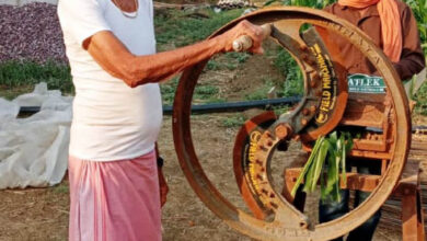 चाफ कटर व आधुनिक तकनीक से बढ़ा दुग्ध उत्पादन, आर्थिक स्थिति में हुआ सुधार चाफ कटर व आधुनिक तकनीक से बढ़ा दुग्ध उत्पादन, आर्थिक स्थिति में हुआ सुधार