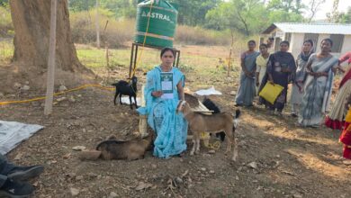 ‘सरगुजा छेरी बैंक’ मॉडल से ग्रामीण महिलाओं को मिल रही आर्थिक आज़ादी की नई राह