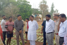 वन मंत्री कश्यप ने दहिकोंगा तेंदूपत्ता फड़ का किया निरीक्षण, संग्राहकों से किया सीधा संवाद