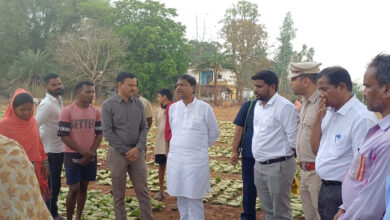 वन मंत्री कश्यप ने दहिकोंगा तेंदूपत्ता फड़ का किया निरीक्षण, संग्राहकों से किया सीधा संवाद