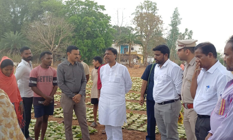 वन मंत्री कश्यप ने दहिकोंगा तेंदूपत्ता फड़ का किया निरीक्षण, संग्राहकों से किया सीधा संवाद