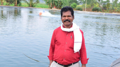 प्रधानमंत्री मत्स्य संपदा योजना से गंगाधर बने सफल मत्स्य उद्यमी, पोंड लाइनर तकनीक से बढ़ा उत्पादन