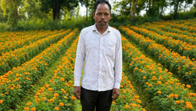 फूलों की खुशबू से महकी किस्मत ईश्वरचरण पैकरा का, कम लागत में मिला ज्यादा मुनाफा