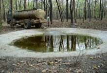 भीषण गर्मी में वन्यजीवों के लिए ‘संजीवनी’ बना बारनवापारा, जल प्रबंधन का ऐसा मॉडल जो पूरे देश के लिए बना मिसाल