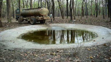 भीषण गर्मी में वन्यजीवों के लिए ‘संजीवनी’ बना बारनवापारा, जल प्रबंधन का ऐसा मॉडल जो पूरे देश के लिए बना मिसाल