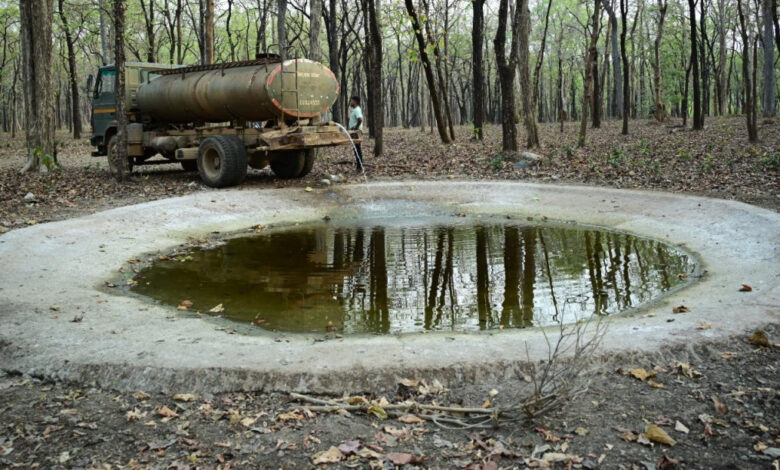 भीषण गर्मी में वन्यजीवों के लिए ‘संजीवनी’ बना बारनवापारा, जल प्रबंधन का ऐसा मॉडल जो पूरे देश के लिए बना मिसाल