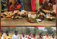 पारंपरिक आमा जोगानी देव पूजन से पूर्व आम का सेवन होता है वर्जित