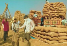 बस्तर के 79 केंद्रों में जमा धान उठाने के लिए जीरो वेस्टेज मिशन का तय किया लक्ष्य