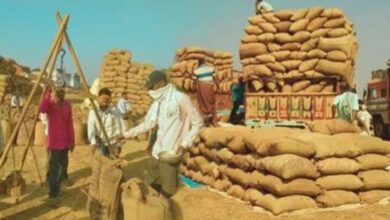 बस्तर के 79 केंद्रों में जमा धान उठाने के लिए जीरो वेस्टेज मिशन का तय किया लक्ष्य