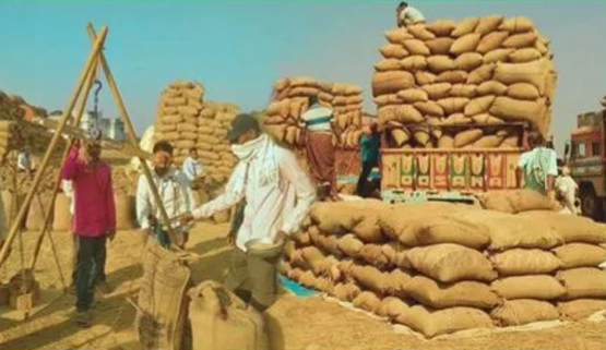 बस्तर के 79 केंद्रों में जमा धान उठाने के लिए जीरो वेस्टेज मिशन का तय किया लक्ष्य बस्तर के 79 केंद्रों में जमा धान उठाने के लिए जीरो वेस्टेज मिशन का तय किया लक्ष्य