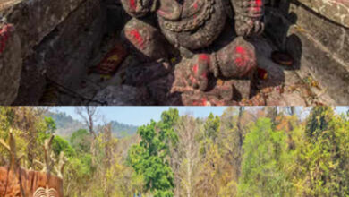 वन विभााग ढोलकल श्रीगणेश तक पहुंचने चट्टान काटकर बना रहा सुगम रास्ता