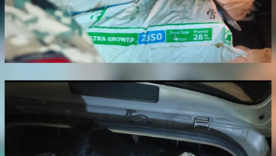 दुर्घटनाग्रस्त क्रेटा वाहन से 65 किलो गांजा जब्त, तस्कर फरार