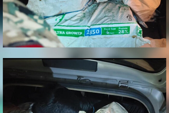 दुर्घटनाग्रस्त क्रेटा वाहन से 65 किलो गांजा जब्त, तस्कर फरार दुर्घटनाग्रस्त क्रेटा वाहन से 65 किलो गांजा जब्त, तस्कर फरार