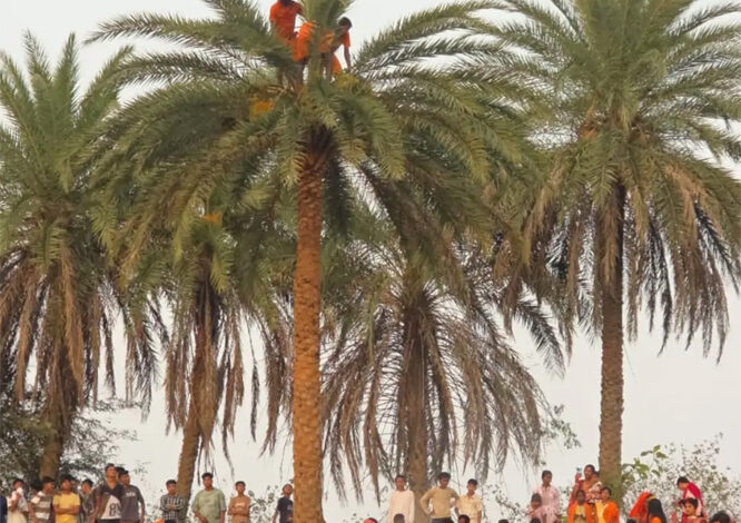 हर-हर महादेव के जयघोष के बीच बंगाली समुदाय के सन्यासियों ने पेड़ की फुनगी पर खड़े होकर किया नृत्य हर-हर महादेव के जयघोष के बीच बंगाली समुदाय के सन्यासियों ने पेड़ की फुनगी पर खड़े होकर किया नृत्य