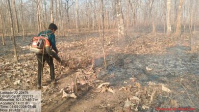 सुरक्षित हो रहे कवर्धा के जंगल, फायर अलर्ट सिस्टम से 25 हजार हेक्टेयर वन क्षेत्र की प्रभावी निगरानी