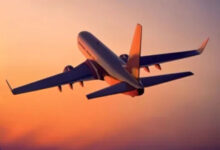 लखनऊ से रायपुर आ रही फ्लाइट के सामने आ गया बंदर,पायलट की सतर्कता से टली दुर्घटना