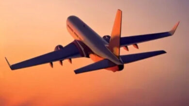 लखनऊ से रायपुर आ रही फ्लाइट के सामने आ गया बंदर,पायलट की सतर्कता से टली दुर्घटना