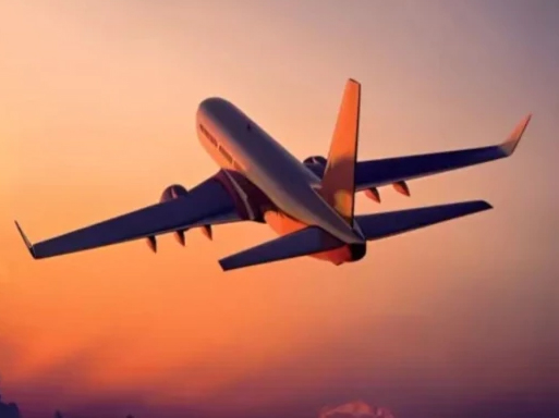 लखनऊ से रायपुर आ रही फ्लाइट के सामने आ गया बंदर,पायलट की सतर्कता से टली दुर्घटना